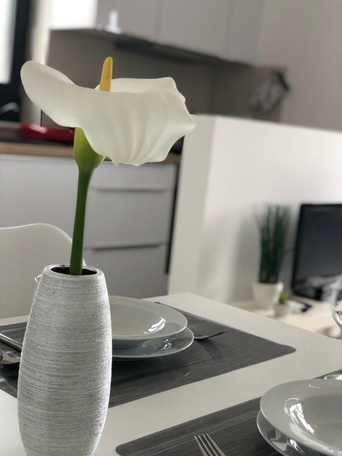 Apartment Oasis